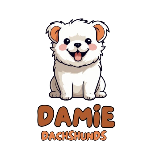 Emily Damie's Dachshunds